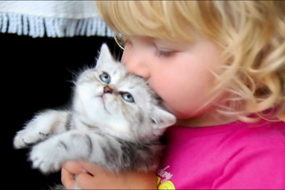 Nina besando gato